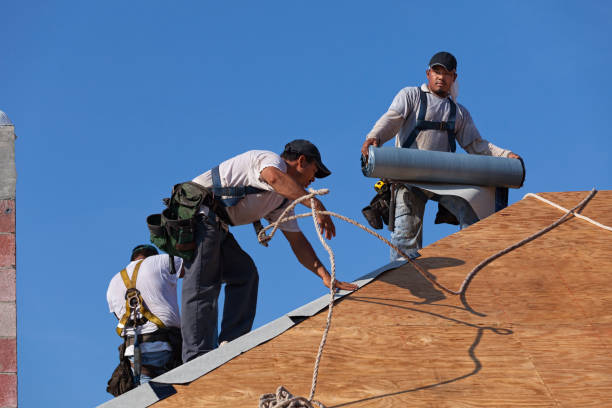 Best Gutter Installation and Roofing  in Blair, WI