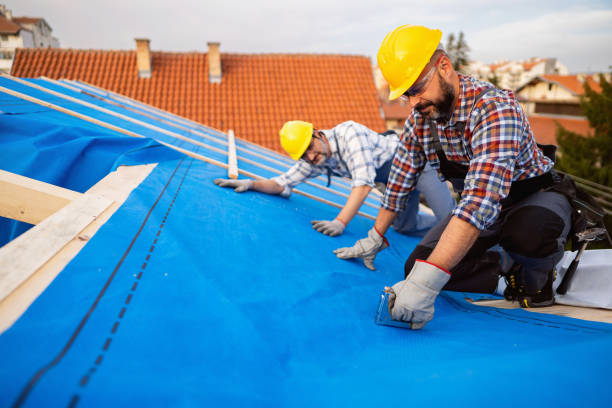 Best Storm Damage Roof Repair  in Blair, WI