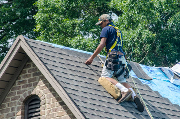Best Flat Roof Repair Services  in Blair, WI